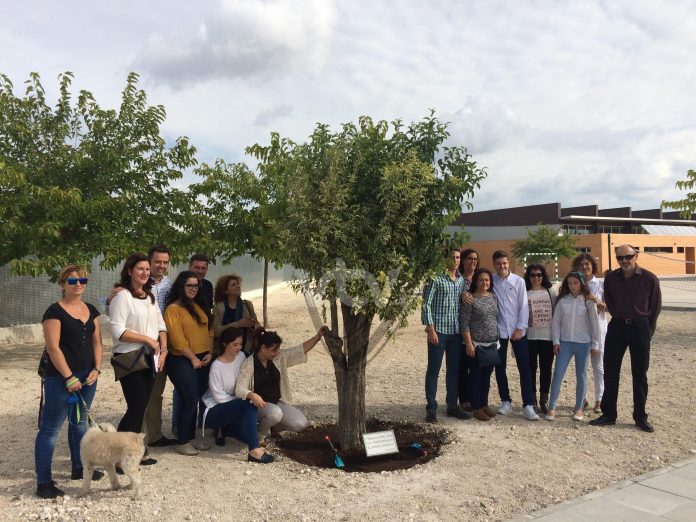 arbol2