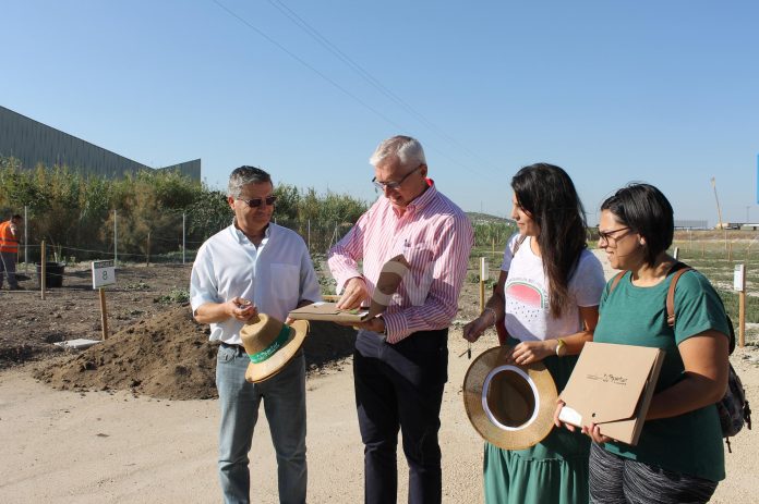 HUERTOS SOCIALES ENTREGA DE LLAVES 11-10-17