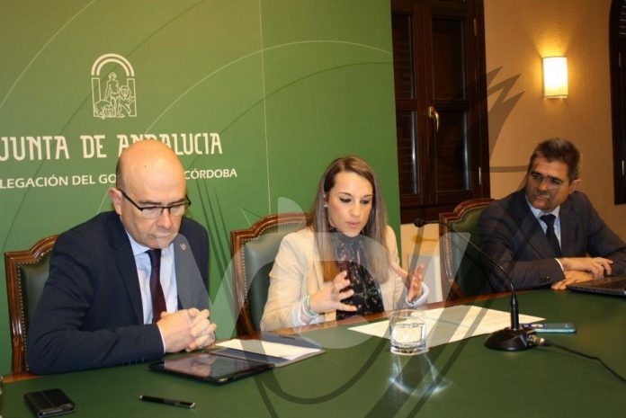 ayudas idea delegados