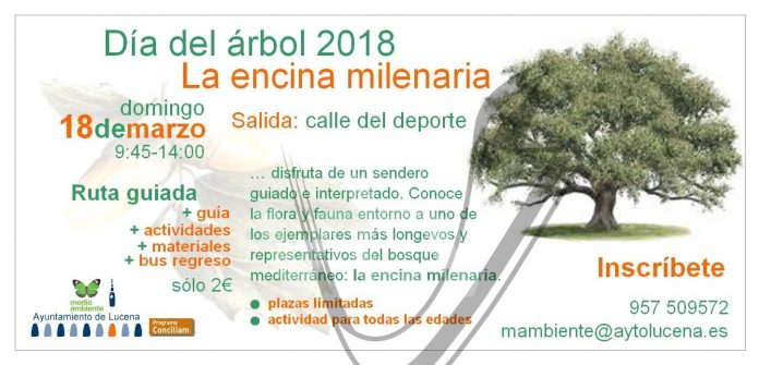 folleto día del árbol