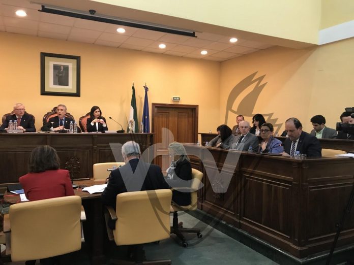 pleno ayuda a domicilio