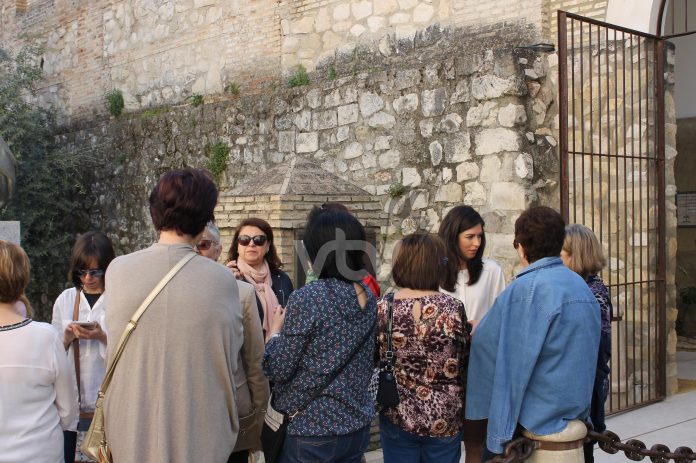 Actividades plan de envejecimiento activo 2