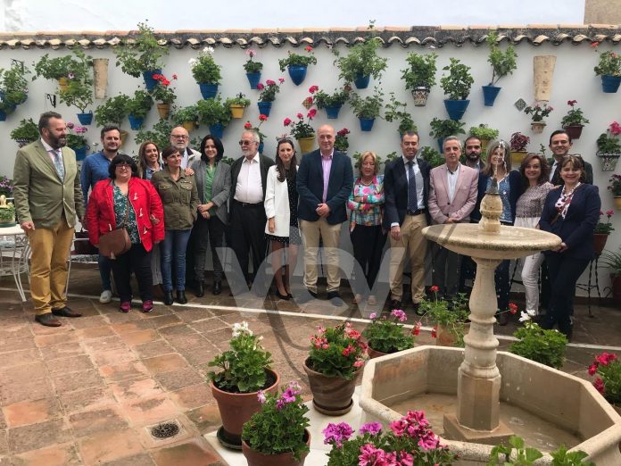 concurso de patios 18