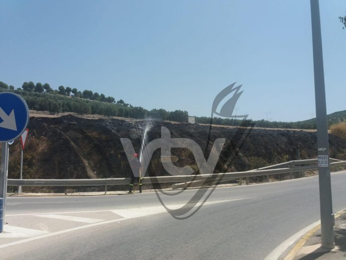 actuación bomberos carretera del Santuario (3)