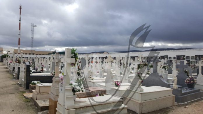 WhatsApp Image 2018-10-31 at 12.12.45