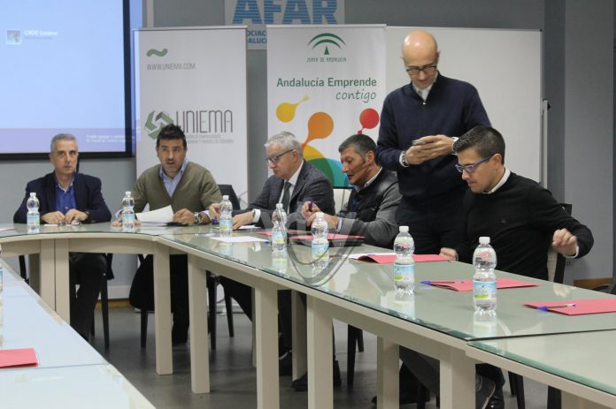 jornadas uniema citma