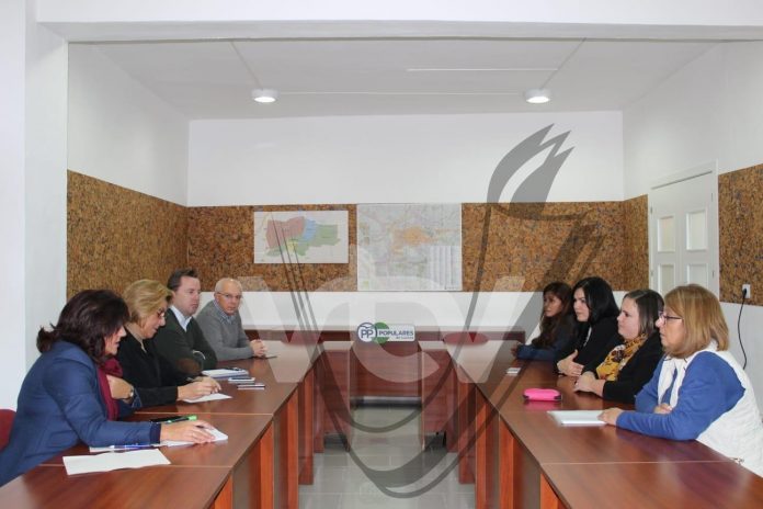 pp ayuda a domicilio