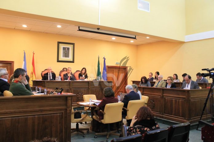 Sesión plenaria enero 2019