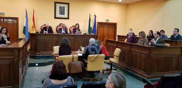 pleno ayuda a domicilio