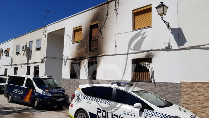 WhatsApp Image 2019-04-13 at 22.01.15