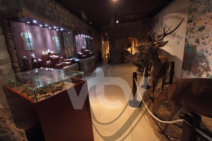 Museo Histórico (7)