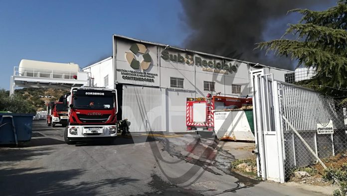 WhatsApp Image 2019-07-21 at 18.31.45