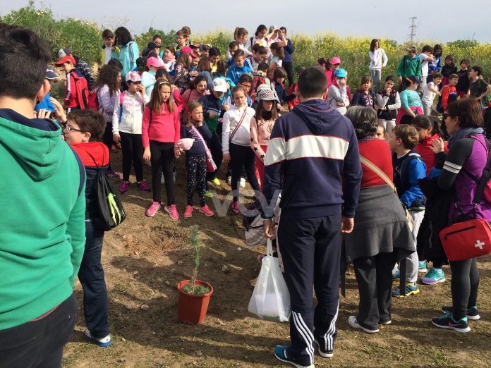 antonio machado vía verde2