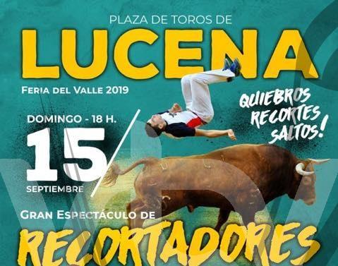 tauroemocion