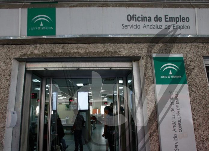 OficinaEmpleo4