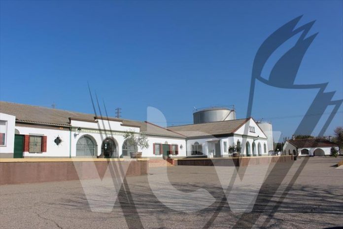 PATRIMONIO COMUNAL OLIVARERO