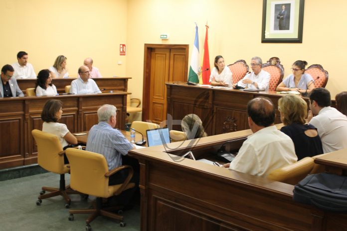 pleno mercadillo 0609