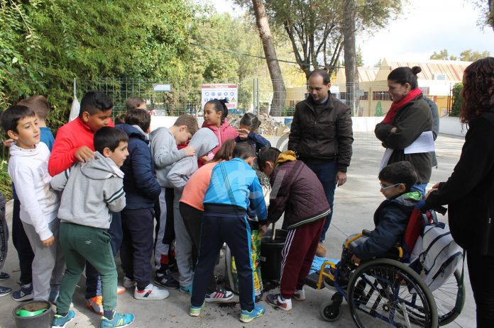 CONOCE NUESTROS ARBOLES 12-11-19