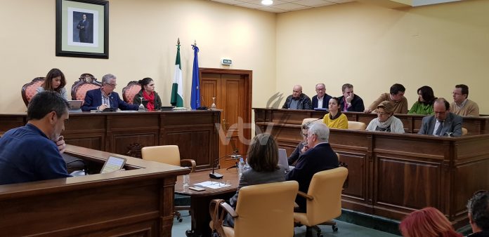 PLENO ORDENANZA MERCADILLO