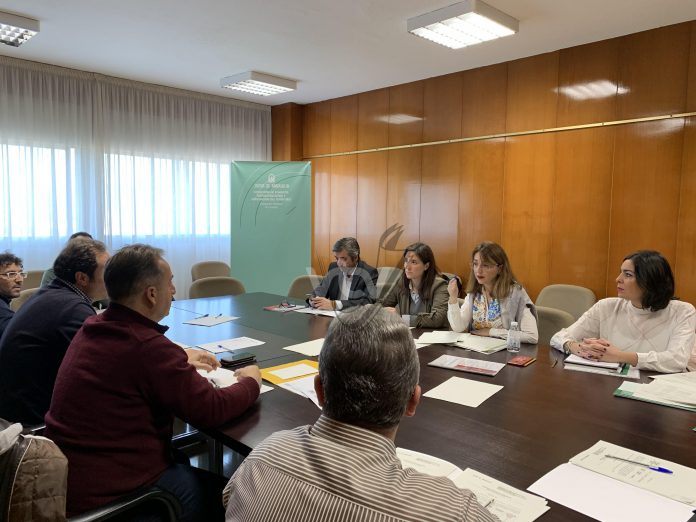 FOM_TAXI_19 de febrero