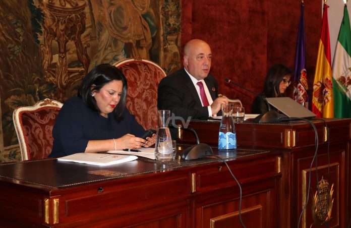 pleno diputación20