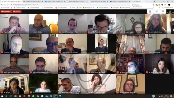 Pleno celebrado en videoconferencia