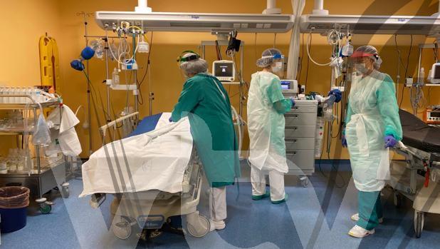 central solidaria coronavirus