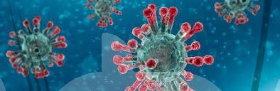 coronavirus