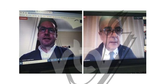 pleno videoconferencia