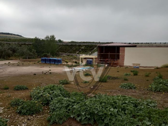 tejares paralizados