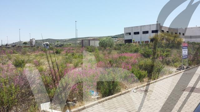 SOLARES SUCIEDAD