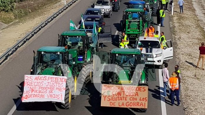 Tractorada-Lucena