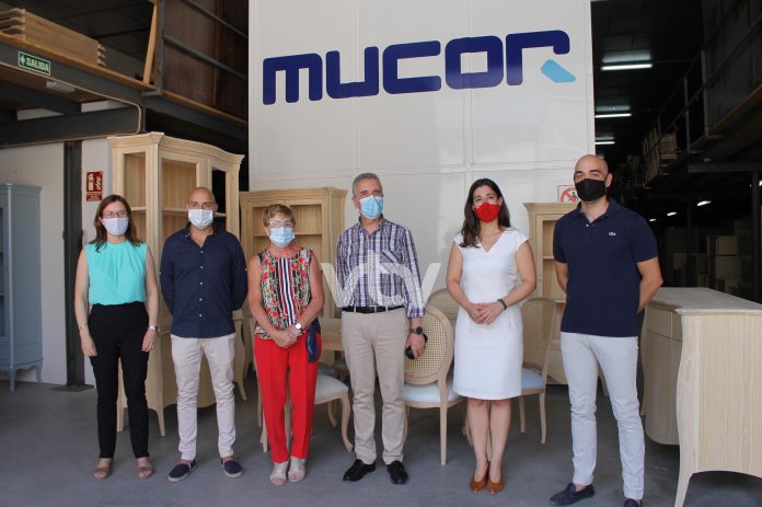 Mucor