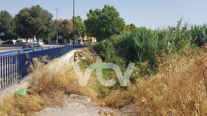 río lucena