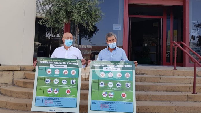 medidas temporeros20