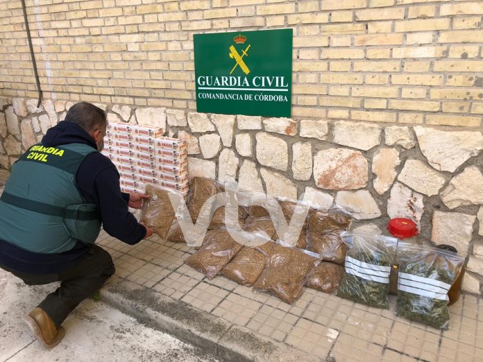 LUCENA TABACO Y MARIHUANA2