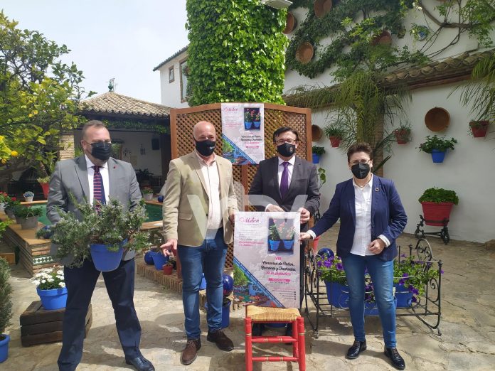 concurso patios subbetica