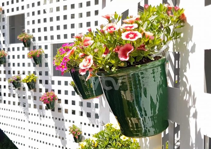 210507 REMODELACIÓN PATIO INTERIOR CASA DE LOS MORA 7