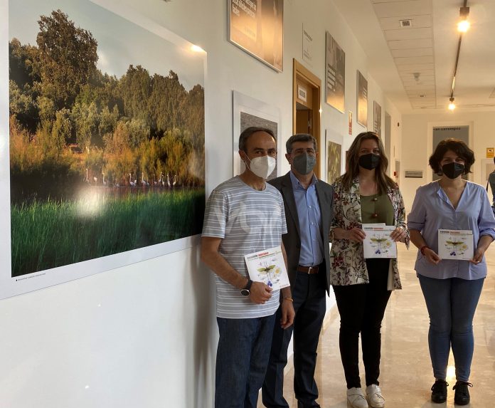 exposición medio ambiente