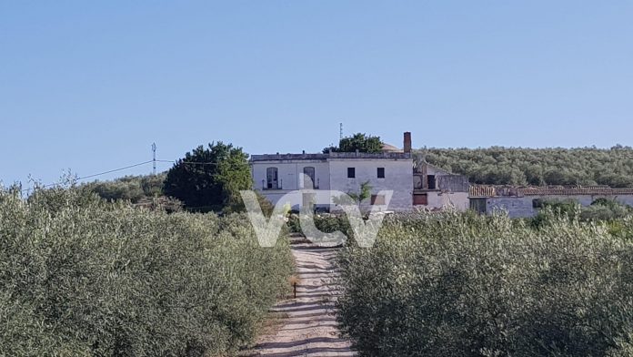 CORTIJO ALTO