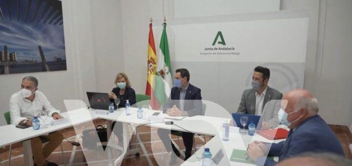 comité expertos 0208