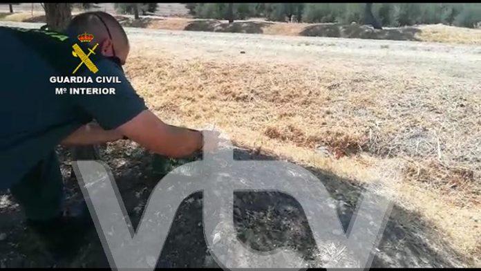 control flora y fauna cordoba (4)