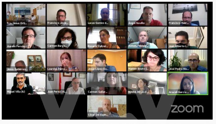 Pleno virtual agosto21