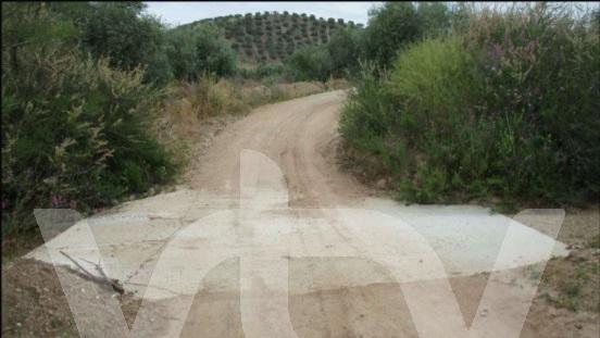 camino del calonge 1