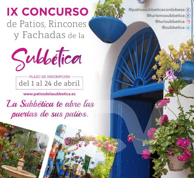 concurso de patios22