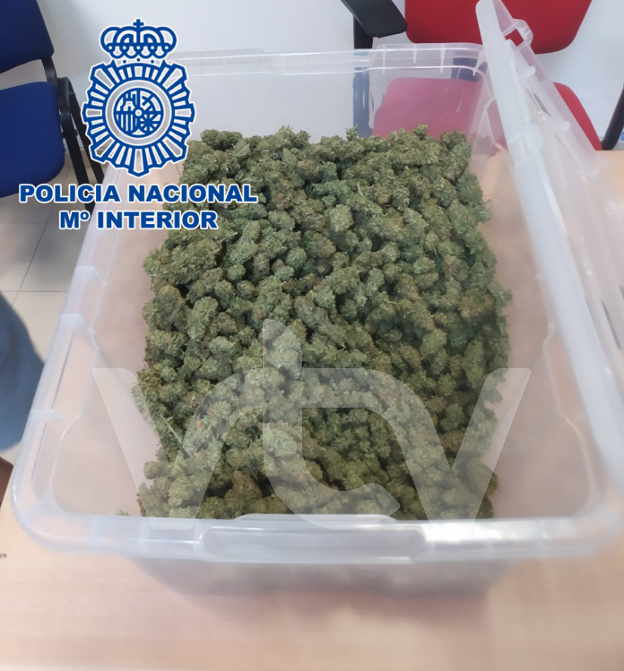 policia marihuana lucena