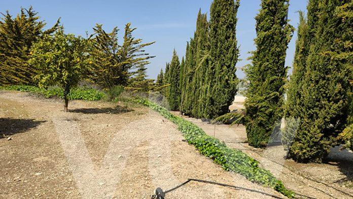 cementerio ecológico