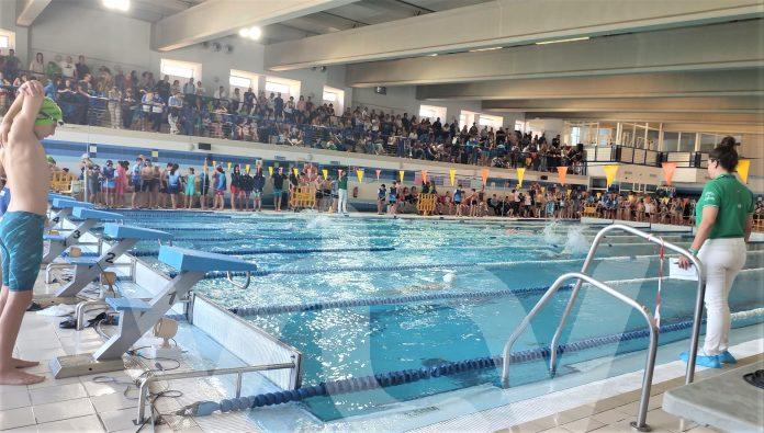22-03-23 2 trofeo de natación
