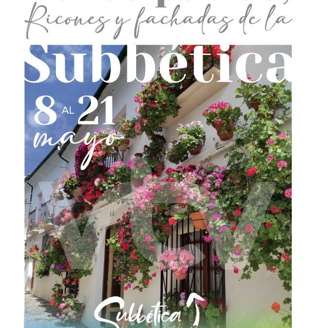 concurso patios 23