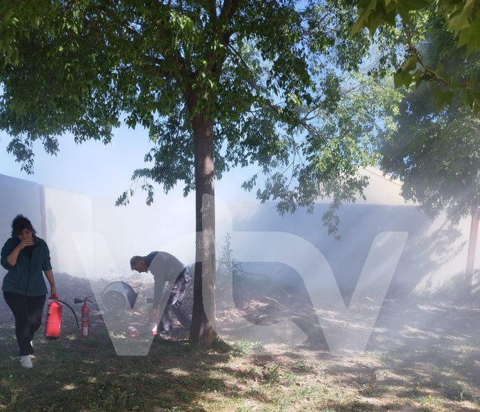 fuego clara campoamor